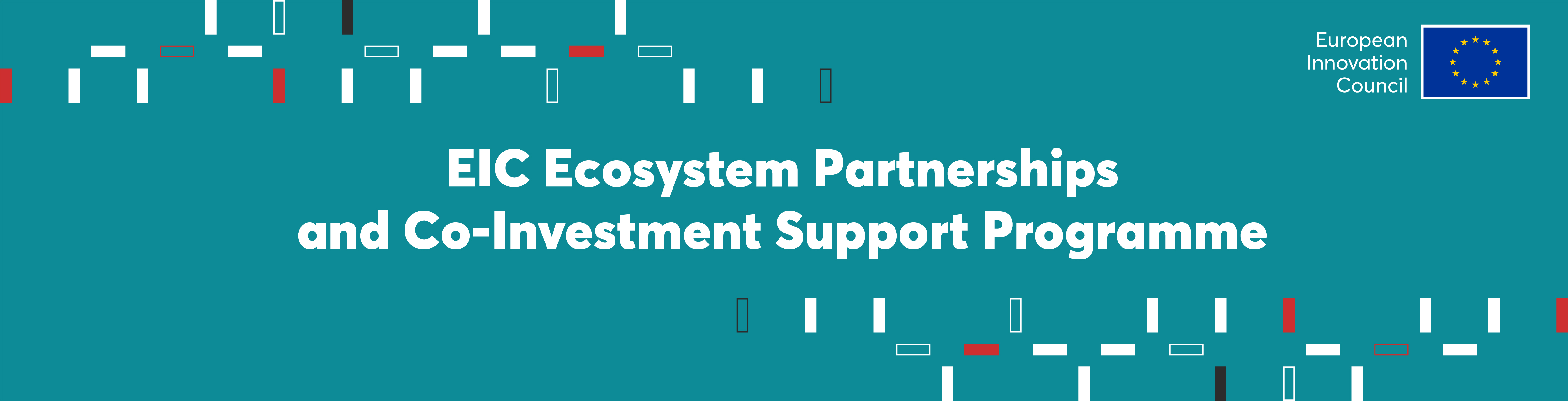 Ecosystem Partnerships and Co-Investment Support Programme Banner