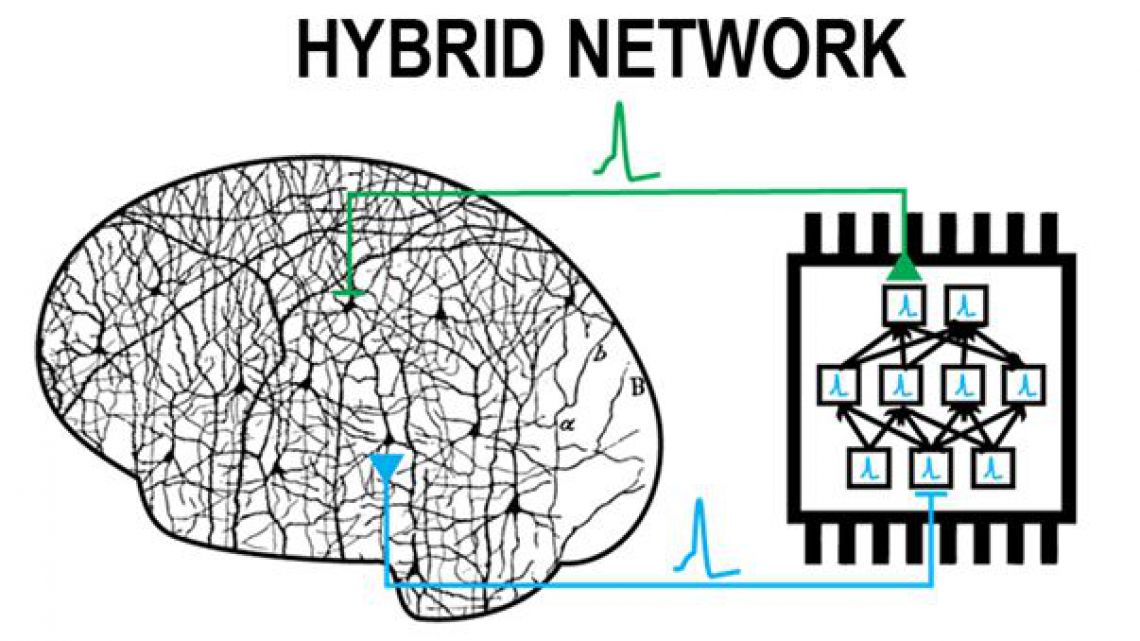 hybrid_network_57291.jpg