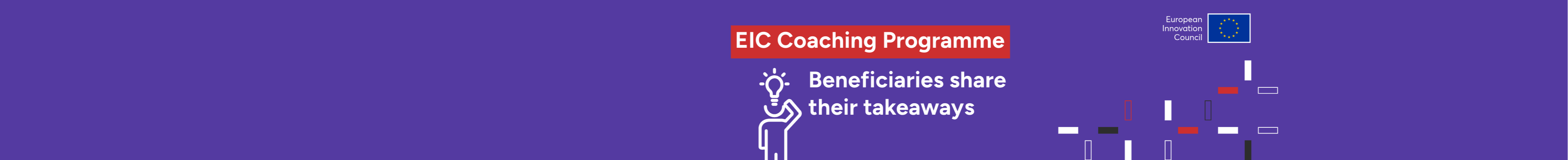 Visuals Coaching Programme