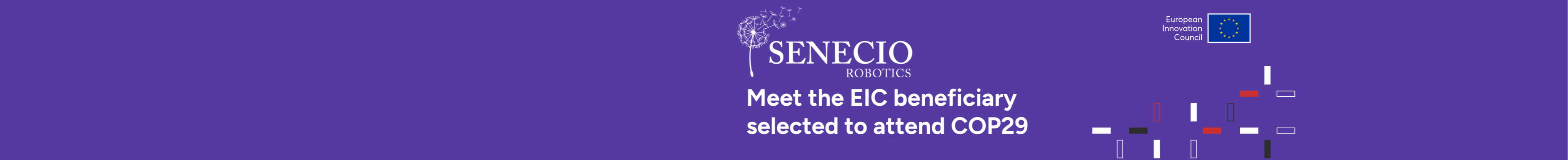 Senecio success story banner