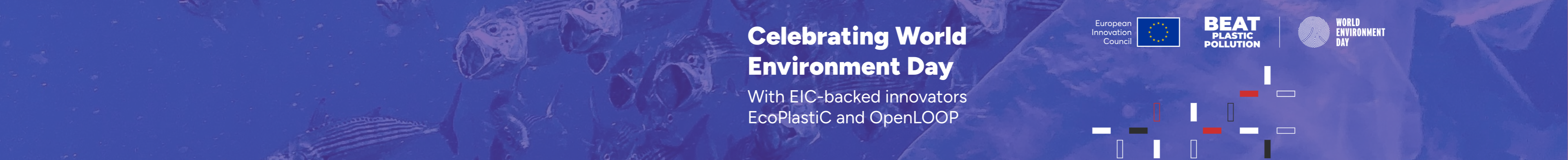 World Environment Day