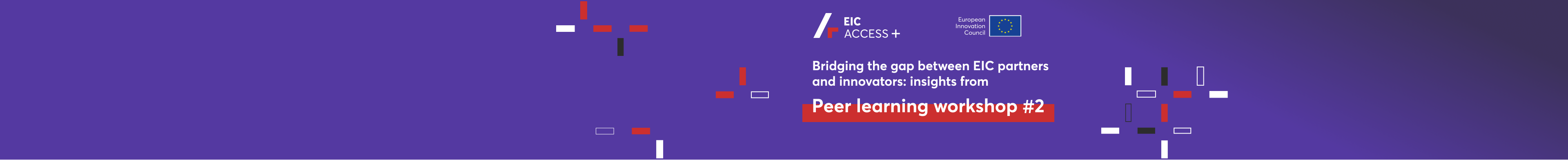 EIC ACCESS+ Peer Learning workshop #2