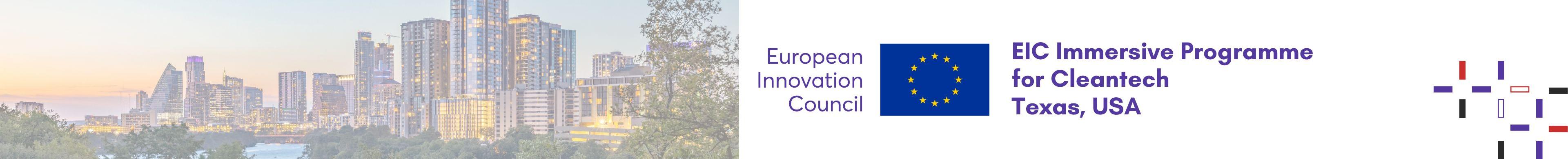 EIC Immersive Programme