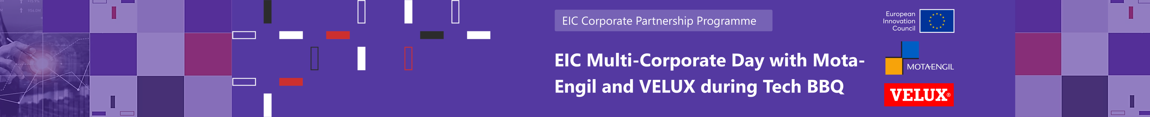 Visuals - EIC Community, banner