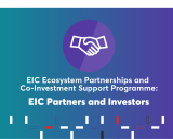 EIC Ecosystem Partnerships and Co-Investment Support Programme: The view of EIC Partners and Investors