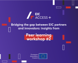 EIC ACCESS+ Peer Learning workshop #2 _insights