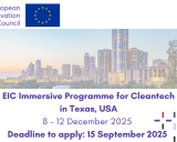EIC Immersive Programme